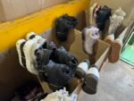 ATHLETIC SHOES Export Pallet - Image 4