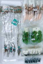 Premium Jewelry Liquidation-Department Store Jewelry - Image 15
